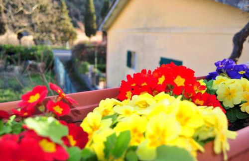 Come a casa - Foto 11