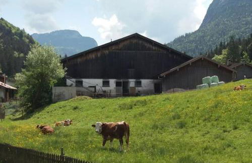 Apartment in den bayerischen Alpen, für Naturliebhaber - Foto 24