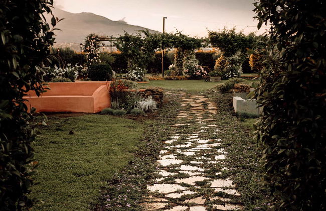 Wine Tasting at Etna Urban Winery - Photo 8