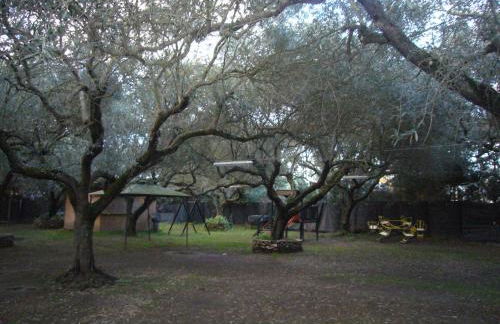 Su Barroccu - Foto 14