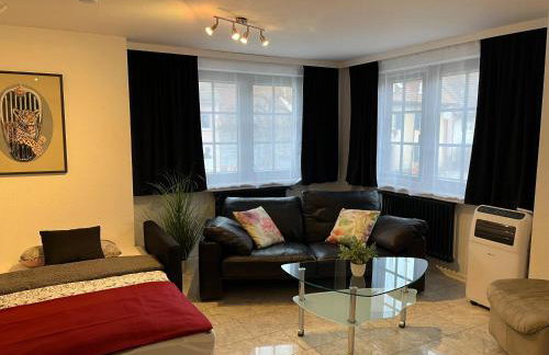 Excl Ferienwohnung im Dreiländereck D-F-CH mit beheiztem kl Pool zum Schwimmen und Massieren - Foto 42