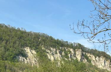 Vidi Apartments Am-Bach - Foto 18