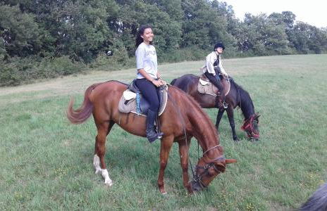 ferme équestre des abrons - Foto 20