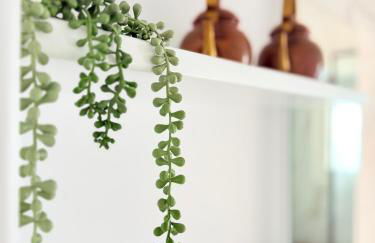 Casa Moureto - One bedroom Sea View Villa with Jacuzzi - Photo 32