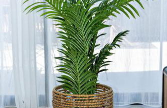 Villa Mika à 5min de la plage - Photo 56