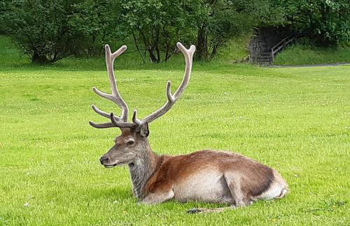 Etive Pod, West Highland Way Holidays - Foto 8