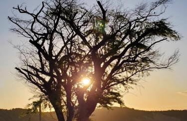 A CASA FORMOSA - Foto 41