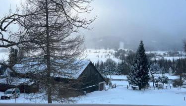 Lasóweczka - Foto 3