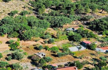 Casa Com Mãos - Foto 61