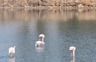 Luxury 2 bedroom 2 bathroom South facing second floor apartment - Foto 21