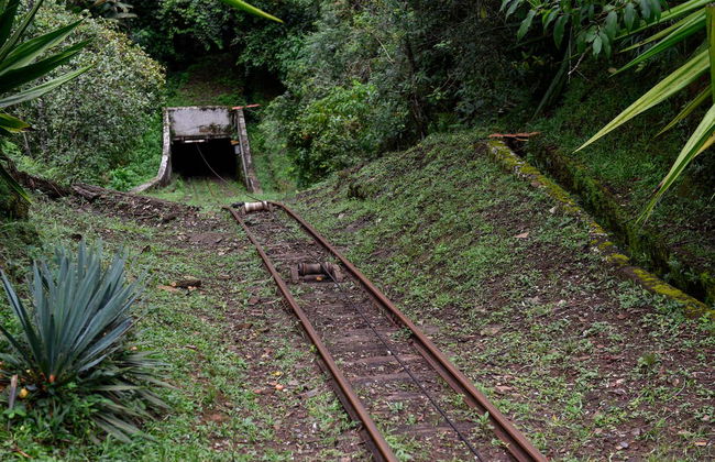 Excursión a Mariana - Foto 5