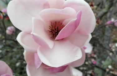 CAMPO DE SOBARBO - Guest House rural - Photo 64