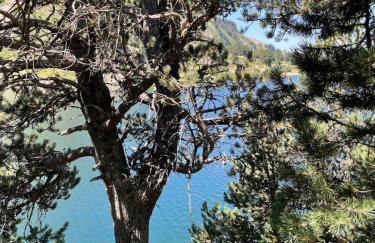 Ochalet Bagergue - Foto 35