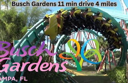 Palmera House in Tampa with Hot Tub 10 minutes from Airport & Busch Gardens - Foto 30