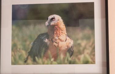 Vacances entre mer et montagne - Foto 15