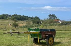 Nordés Casa rural en Lastres entre mar y montaña - Foto 24