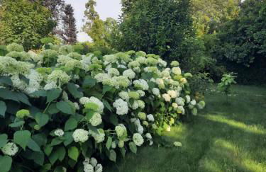 Montresora, villa con piscina privata tra il Lago di Garda e Verona - Foto 28