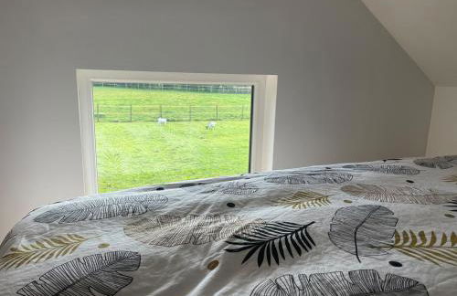 Gîte du Paradis Normand - Foto 19