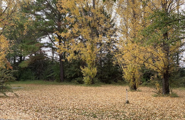 New England Highlands RV Park - Foto 14