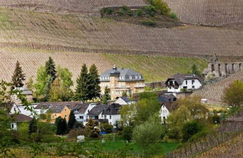 Holiday apartment in Dernau with parking - Foto 24