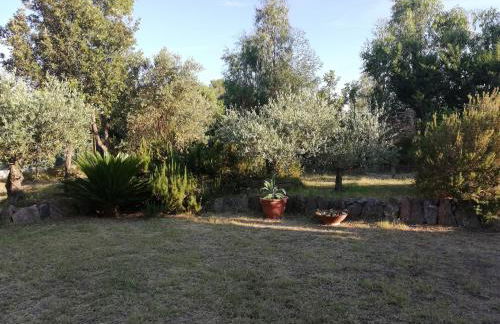 La Cuppulata - Foto 36