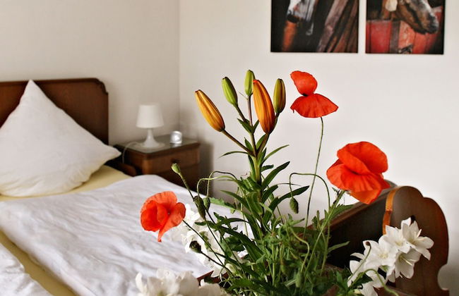 Paltian Ferienhäuser - Foto 17