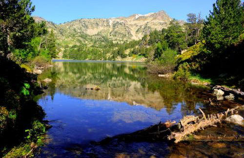 Apartaments La Bonaigua - Foto 31