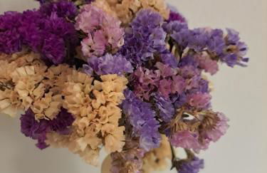 Casa Mimì - Foto 18