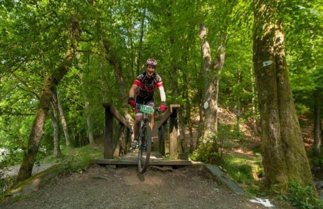 Family Villa Near Forest - Photo 23