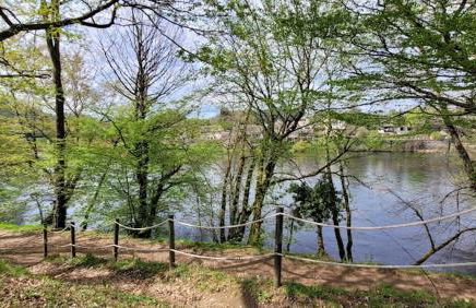 Charmant Duplex en bord de Dordogne - Argentat- Corrèze - Foto 25