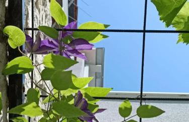 Holliday home Alida with jacuzzi - Photo 16