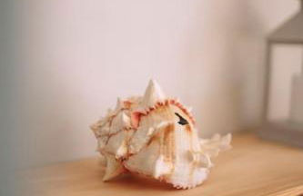 The Dunes, Lytham St Annes - Foto 30