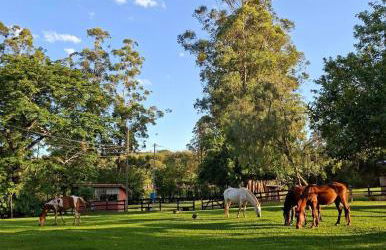 Sítio colonial no Sul de Minas Gerais - Foto 18