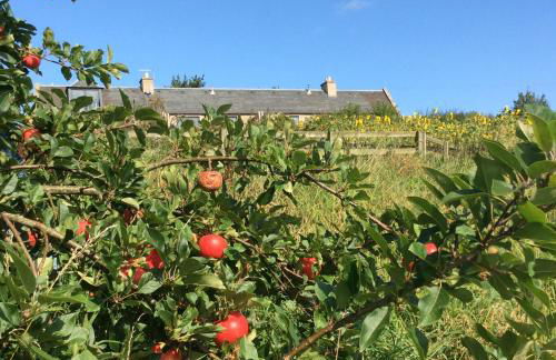 Garden Bank Cottage - Foto 23