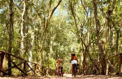 Masseria Vittoria - Foto 32