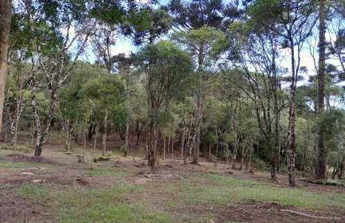 Cabanas dos Pinheiros - Foto 27