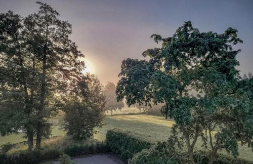 Ferienwohnung Weidenblick - Foto 39