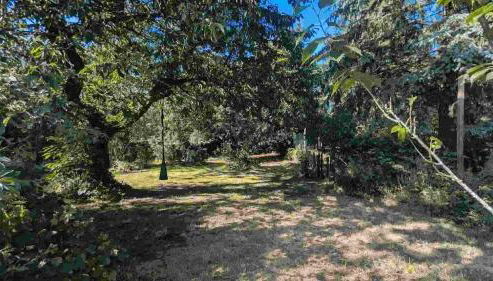 Ferienwohnung - Foto 5, Garden, Garden view