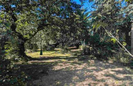 Ferienwohnung - Foto 5