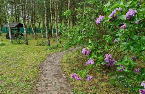 Leśny Zakątek Lipinki Bory Tucholskie - sauna - Foto 23