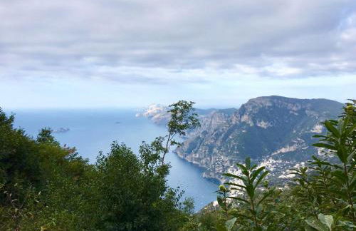 La Libraia - Foto 22