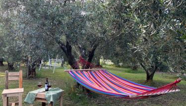 Green Olive Studios - Foto 5, Garden