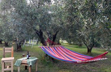 Green Olive Studios - Photo 5