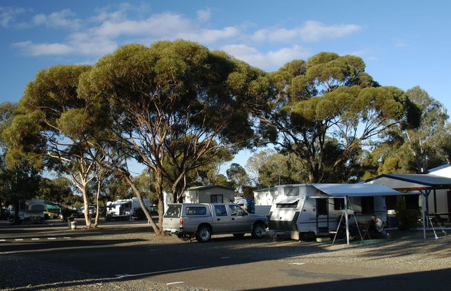 Big4 Acclaim Prospector Holiday Park - Foto 18