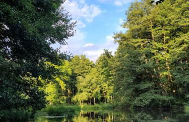 Wohnung Waltraud - Foto 35