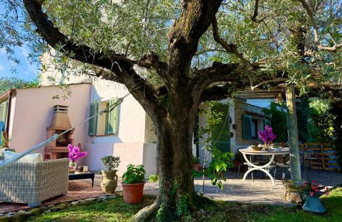 Agriturismo Villa Carducci - Photo 62