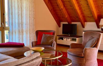 4-Sterne Ferienhaus Rösslewiese Hinterzarten - Foto 12