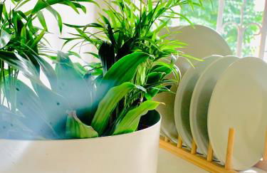 PLANT HOUSE Roma Eur - Foto 15