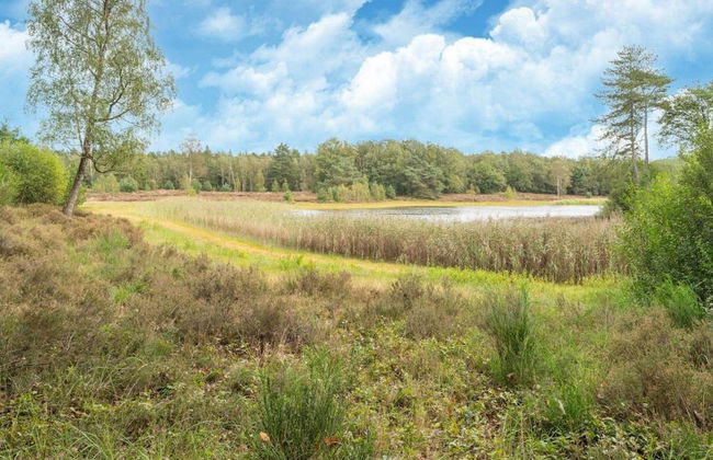 Cozy Forest-edge Home - Foto 37