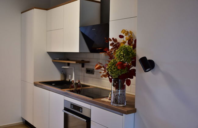 Kolpa Resort Village Majer - Apartments and Glamping - Foto 17